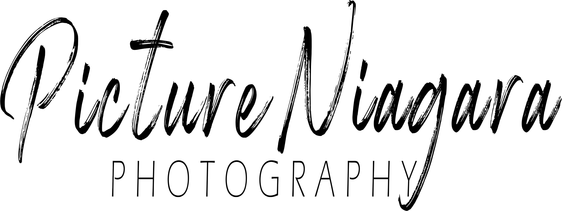 picture niagara main logo